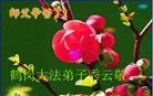 ֹ,󷨵ӹףʦ(24)
