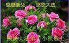 ֹ,󷨵ӹףʦ(24)
