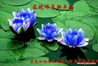 ֹ,󷨵ӹףʦ(25)
