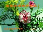 ֹ,󷨵ӹףʦ(23)
