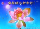 法轮功,秦皇岛大法弟子恭祝师尊新年快乐(22条)
