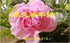 ֹ,Ĵ󷨵ӹףʦ(22)

