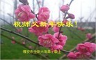 ֹ,Ĵ󷨵ӹףʦ(22)
