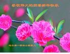 ֹ,󷨵ӹףʦ(23)
