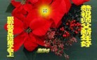 法轮功,河北大法弟子恭祝师尊新年快乐(24条)
