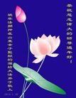 法轮功,潍坊大法弟子恭祝师尊新年快乐(31条)
