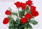 ֹ,󷨵ӹףʦã18
