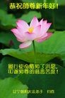 ֹ,д󷨵ӹףʦ(24)
