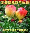 ֹ,ൺ󷨵ӹףʦ(30)
