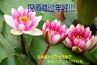 ֹ,ʡ󷨵ӹףʦ(28)

