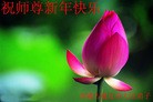 ֹ,ɹŴ󷨵ӹףʦ֣22
