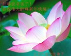 ֹ,󷨵ӹףʦ(24)
