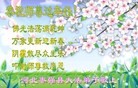 ֹ,ӱ󷨵ӹףʦ(24)
