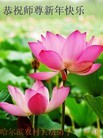 法轮功,哈尔滨大法弟子恭祝师尊新年快乐(25条)
