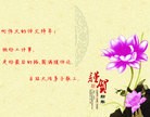 ֹ,ʡ󷨵ӹףʦ(23)
