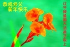 ֹ,󷨵ӹףʦ(24)
