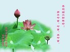 ֹ,󷨵ӹףʦ(25)
