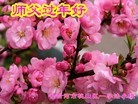 ֹ,󷨵ӹףʦ(24)

