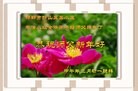ֹ,ӱ󷨵ӹףʦ(23)
