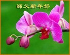 ֹ,ʡ󷨵ӹףʦ(23)
