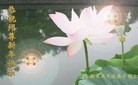 ֹ,մ󷨵ӹףʦ(27)
