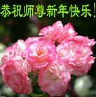 法轮功,山西大法弟子恭祝师尊新年快乐(25条)
