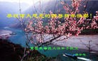 ֹ,󷨵ӹףʦ(20)
