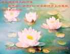 法轮功,内蒙古大法弟子恭祝师尊新年快乐（22条）
