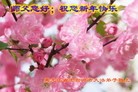 ֹ,󷨵ӹףʦ(27)

