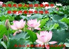 ֹ,ľ˹󷨵ӹףʦ(21)
