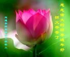 ֹ,ʡ󷨵ӹףʦ(23)
