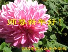 ֹ,󷨵ӹףʦ(25)
