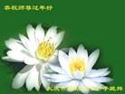 ֹ,󷨵ӹףʦ֣19

