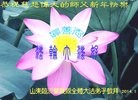 ֹ,ʴ󷨵ӹףʦ֣20
