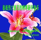 Published on 2/1/2014 ���ֹ�,���󷨵��ӹ�ףʦ���������(22��)
