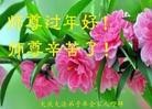 ֹ,󷨵ӹףʦ֣19
