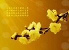 法轮功,河南大法弟子恭祝师尊新年快乐(26条)
