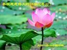ֹ,󷨵ӹףʦ(25)
