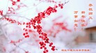 ֹ,󷨵ӹףʦ(28)
