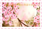 ֹ,󷨵ӹףʦ(24)

