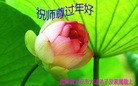 ֹ,ʡ󷨵ӹףʦ(27)
