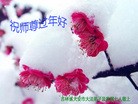 ֹ,ʡ󷨵ӹףʦ(27)

