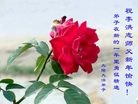 Published on 1/1/2016 ���ֹ�,��½�󷨵��ӹ�ףʦ���������(28��)
