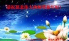 ֹ,ȷ󷨵ӹףʦ(24)
