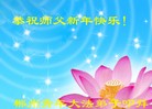 ֹ,ϴ󷨵ӹףʦ(23)
