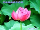 ֹ,󷨵ӹףʦ(28)
