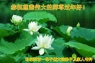 法轮功,大陆大法弟子恭祝师尊新年快乐(25条)
