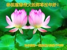ֹ,½󷨵ӹףʦ(25)
