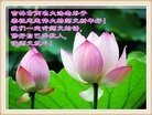 ֹ,д󷨵ӹףʦ(20)
