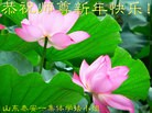 法轮功,大陆大法弟子恭祝师尊新年快乐(25条)
